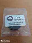 Сальник распредвала на Chery: Cross Eastar, Eastar, Fora, IndiS, Kimo, M11, M12, QQ6, Riich, Tiggo; 